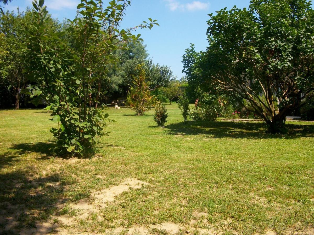 לינה וארוחת בוקר Saint-André-de-Cubzac Domaine De Monein מראה חיצוני תמונה
