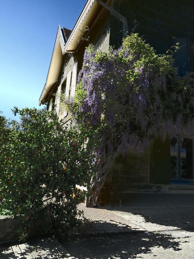 לינה וארוחת בוקר Saint-André-de-Cubzac Domaine De Monein מראה חיצוני תמונה